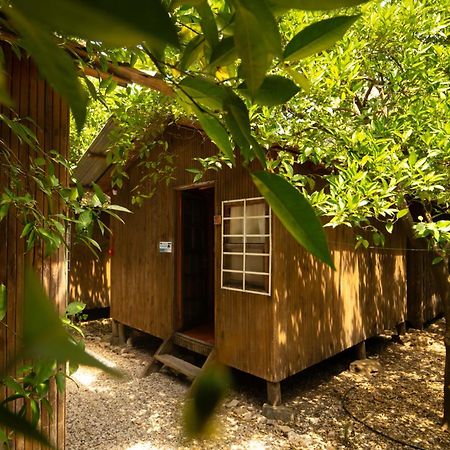 Olympos Yakamoz Pansiyon 외부 사진