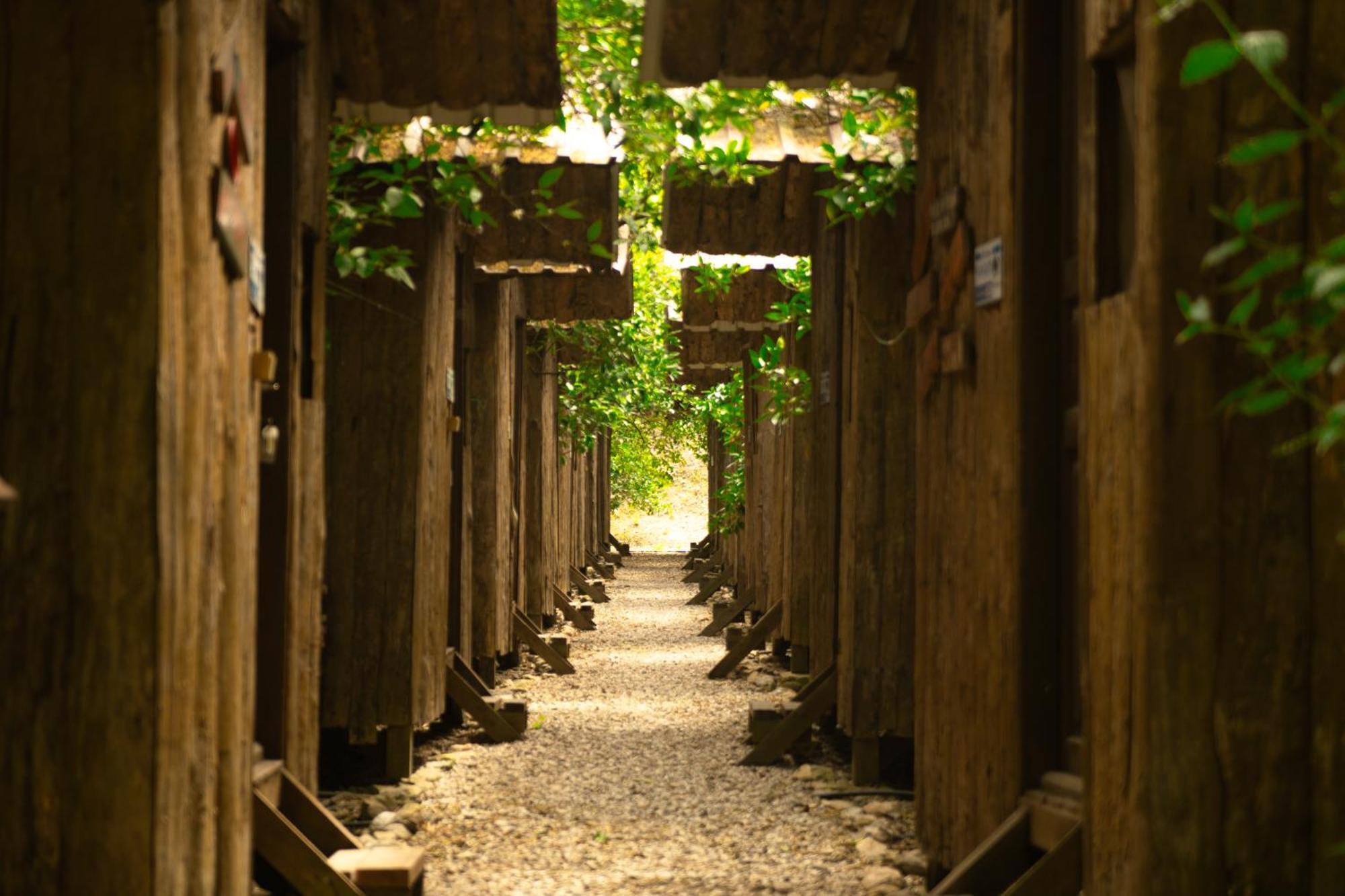 Olympos Yakamoz Pansiyon 외부 사진