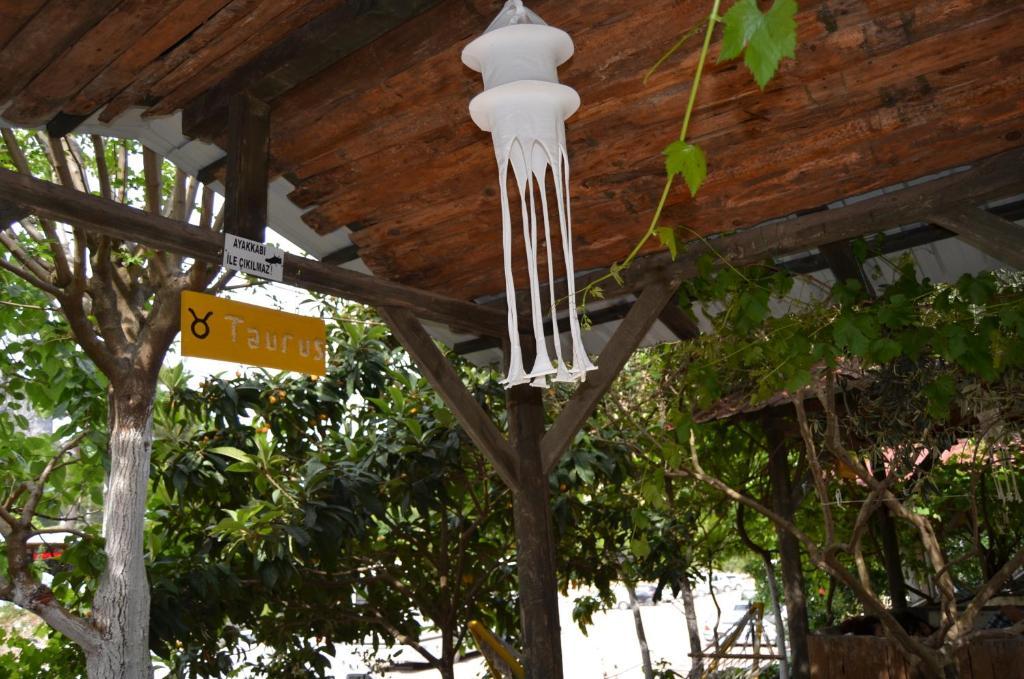 Olympos Yakamoz Pansiyon 외부 사진