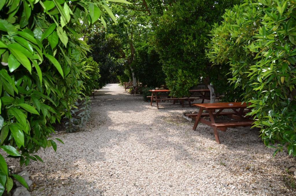Olympos Yakamoz Pansiyon 외부 사진
