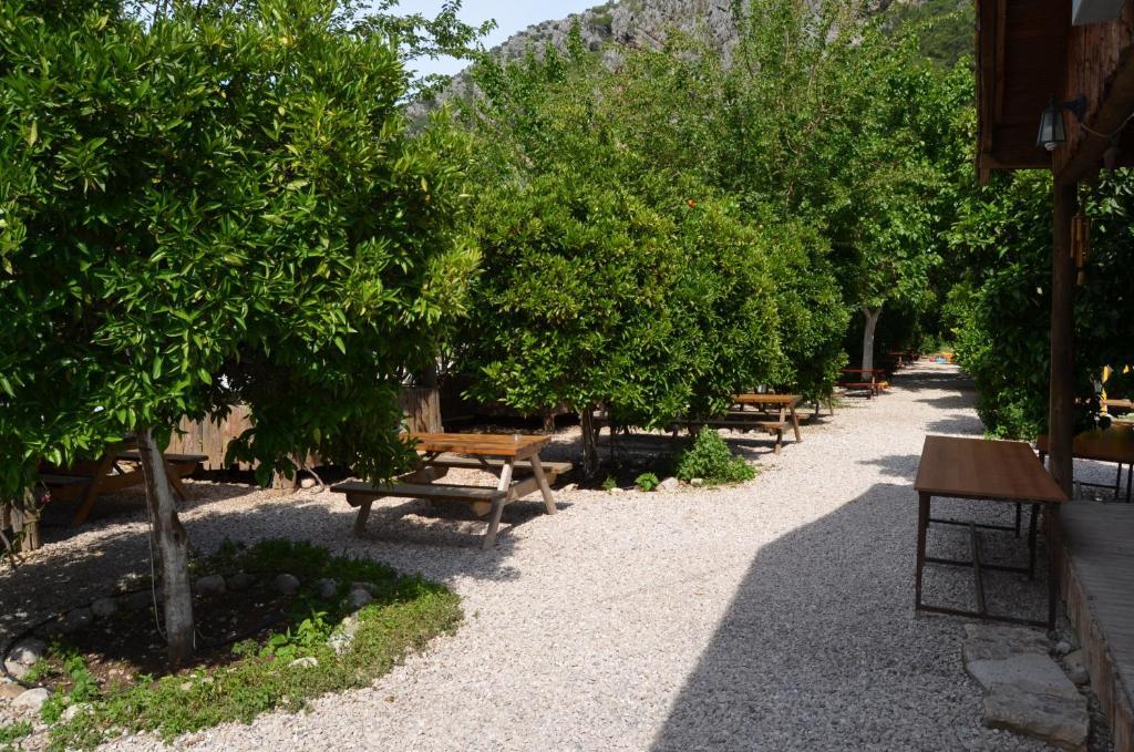 Olympos Yakamoz Pansiyon 외부 사진