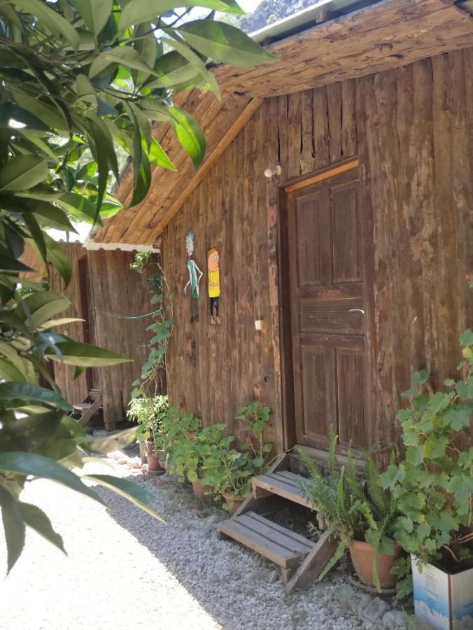 Olympos Yakamoz Pansiyon 외부 사진