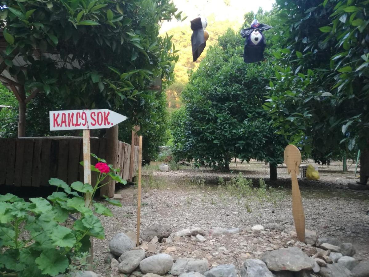 Olympos Yakamoz Pansiyon 외부 사진