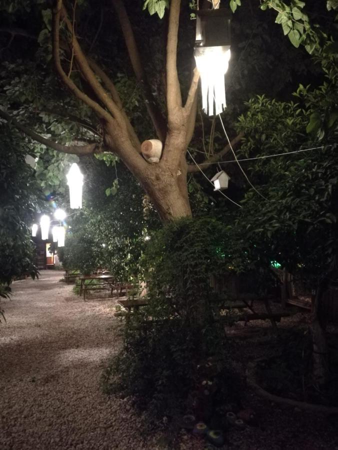 Olympos Yakamoz Pansiyon 외부 사진