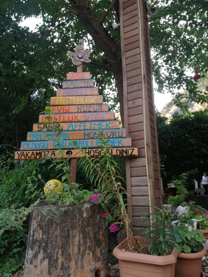 Olympos Yakamoz Pansiyon 외부 사진