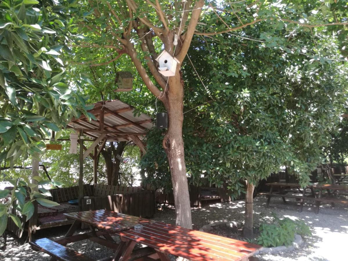 Olympos Yakamoz Pansiyon 외부 사진