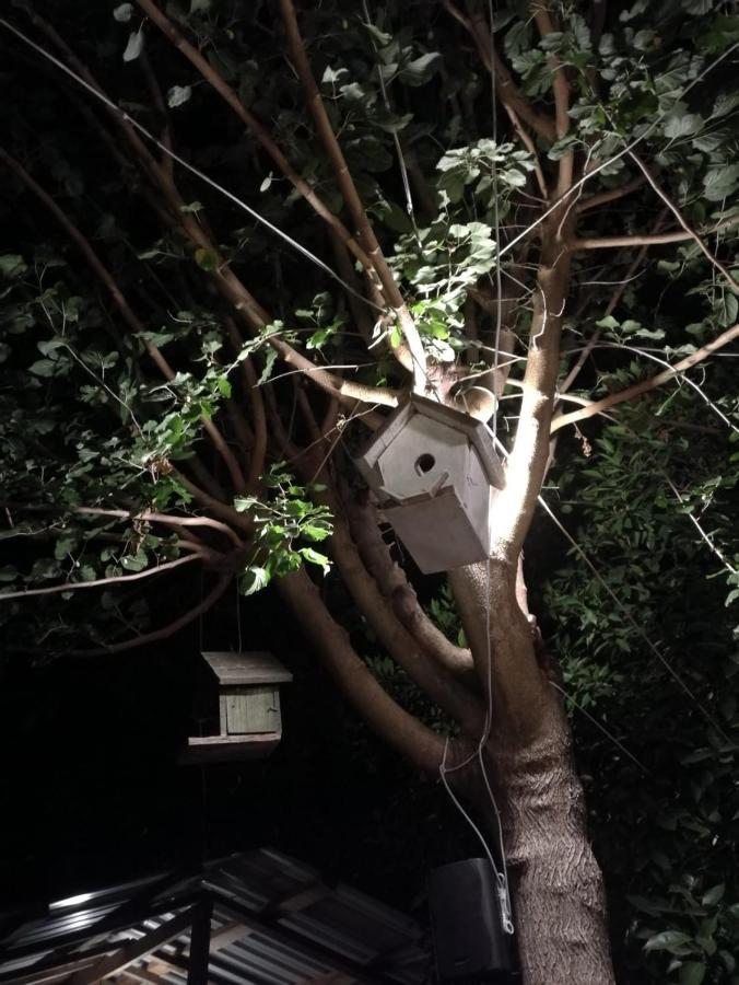 Olympos Yakamoz Pansiyon 외부 사진