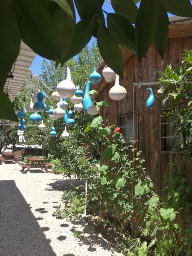 Olympos Yakamoz Pansiyon 외부 사진