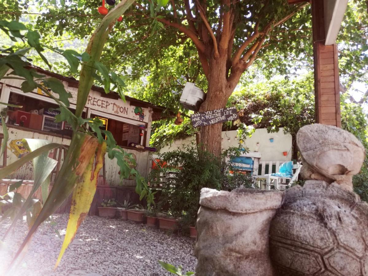 Olympos Yakamoz Pansiyon 외부 사진
