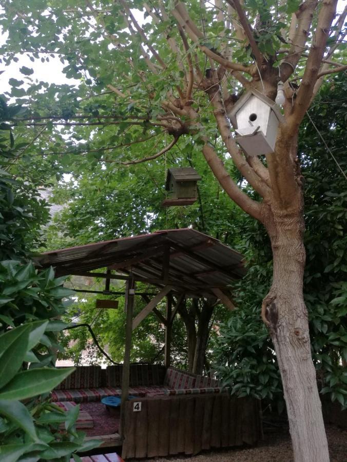 Olympos Yakamoz Pansiyon 외부 사진