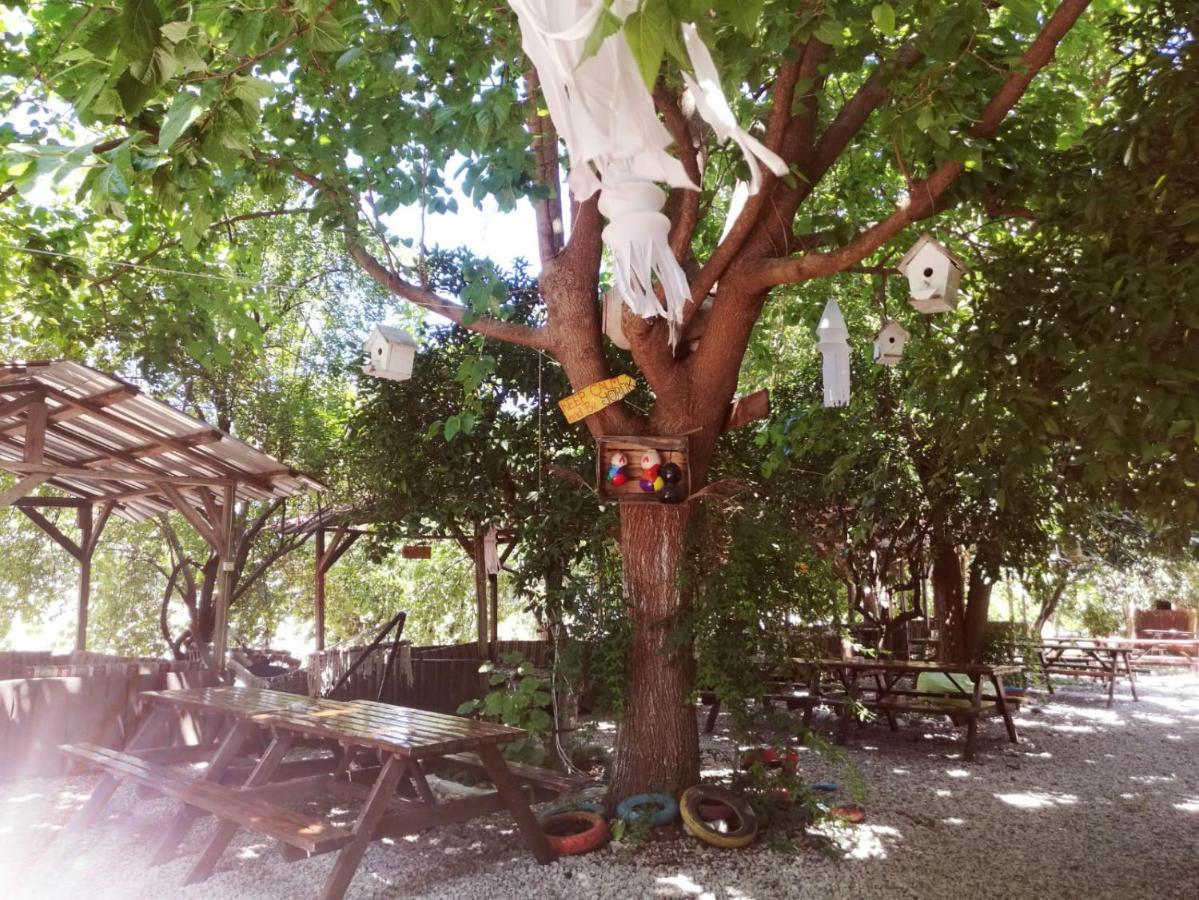 Olympos Yakamoz Pansiyon 외부 사진
